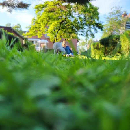 Westkueste Ferienwohnung Heide  Ngoại thất bức ảnh